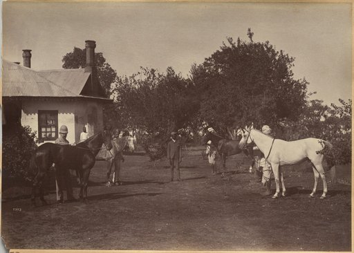 Lord William Beresford's horses