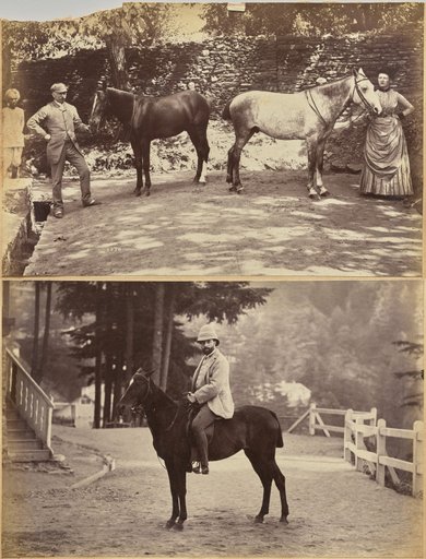Col. F. G. Oldham (recto, top); Mr. Nowell, Shimla (recto, bottom)