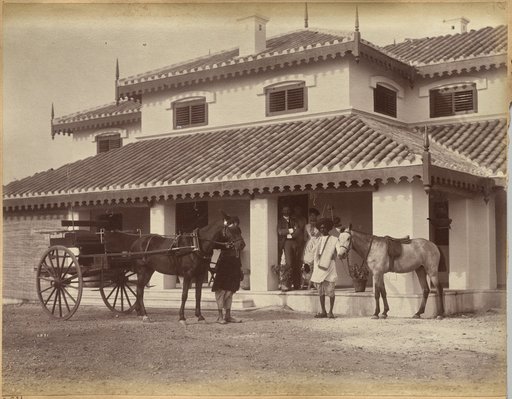 Mr. MacNull, Jhansi (verso)