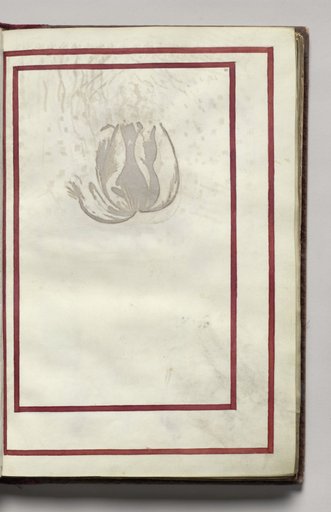 Border, folio 6 (recto), from Florilegium (A Book of Flower Studies)