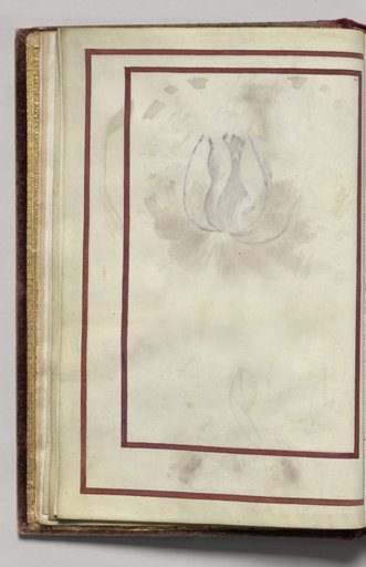 Border, folio 6 (verso), from Florilegium (A Book of Flower Studies)