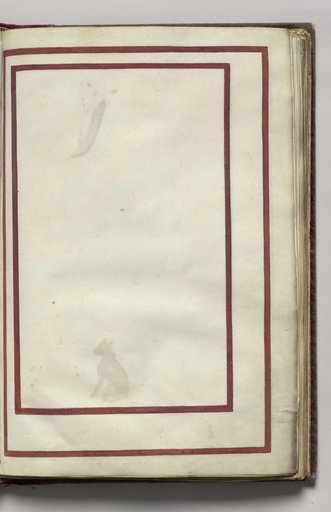 Border, folio 9 (recto), from Florilegium (A Book of Flower Studies)
