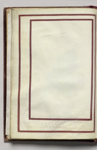 Border, folio 11 (verso), from Florilegium (A Book of Flower Studies)