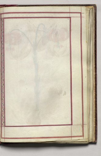 Border, folio 32 (recto), from Florilegium (A Book of Flower Studies)