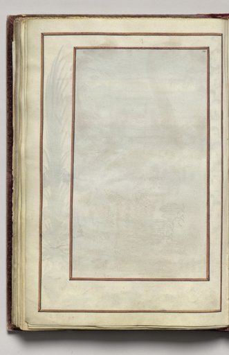 Border, folio 41 (verso), from Florilegium (A Book of Flower Studies)
