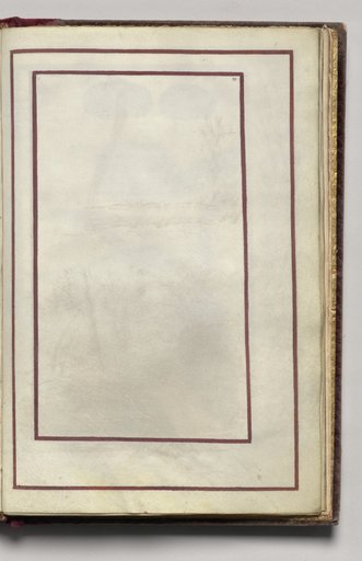 Border, folio 42 (recto), from Florilegium (A Book of Flower Studies)