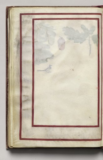 Border, folio 44 (verso), from Florilegium (A Book of Flower Studies)