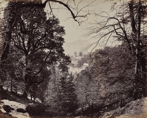 Shimla. The Church Through the Trees, from Jakko