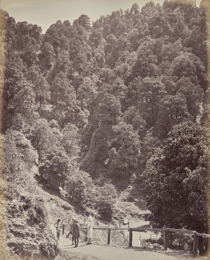 Shimla. View North of Mount Jakko