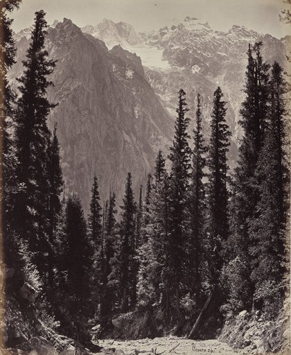 The Upper Himmalayahs. View in the Manga Valley