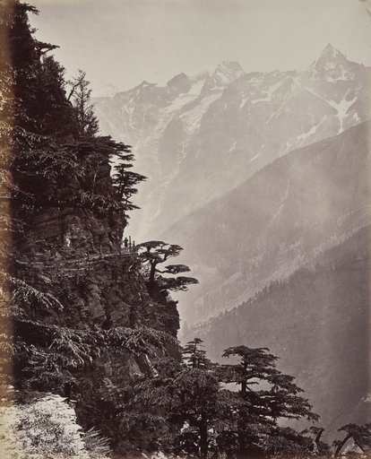 The Upper Himmalayahs. View on the New Road Near Rogi