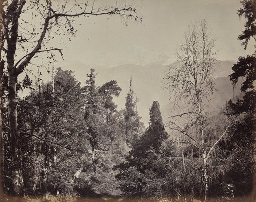 The Upper Himmalayahs. View of the Mountain of Bunderpoonch with the Jumnootri Peak, 20,458 above the Level of the Sea