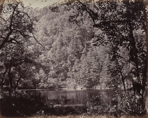 The Upper Himmalayahs. The Dodee Tal in Lake
