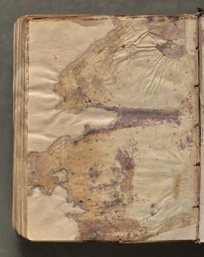 Text, folio 427 (verso), from a Gospel Book with Commentaries