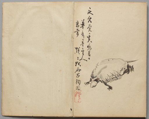 Tortoise from Sketch Album
