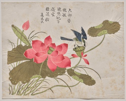 Bird on Lotus