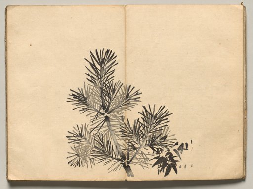 Young Pine from Ōkyo Picture Book
