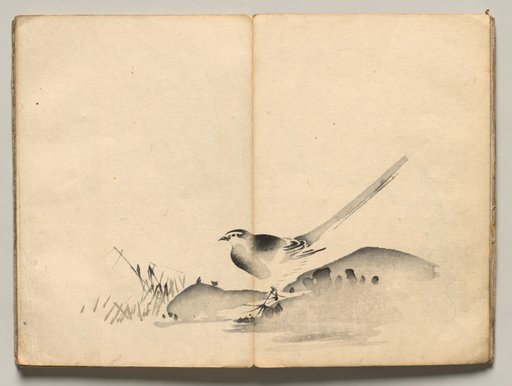 Azure-Winged Magpie from Ōkyo Picture Book