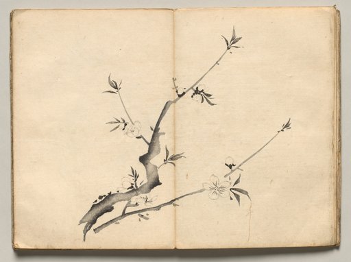 Cherry from Ōkyo Picture Book
