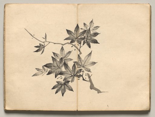 Maple from Ōkyo Picture Book