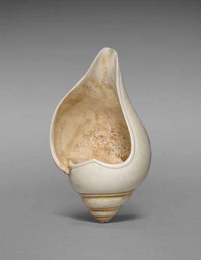 Ritual conch shell