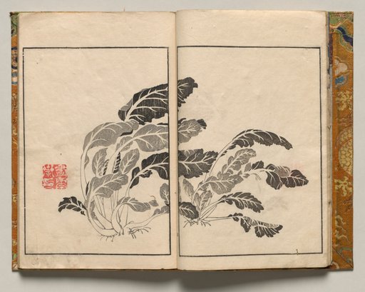 Bok Choy, Design Four from Shazanrō Picture Book