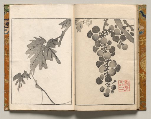 Grapevine, Design Ten from Shazanrō Picture Book