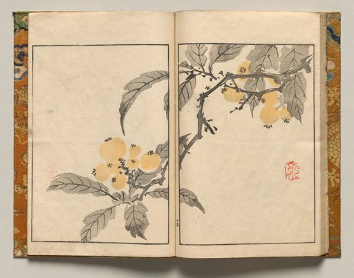 Kumquat, Design Fifteen from Shazanrō Picture Book