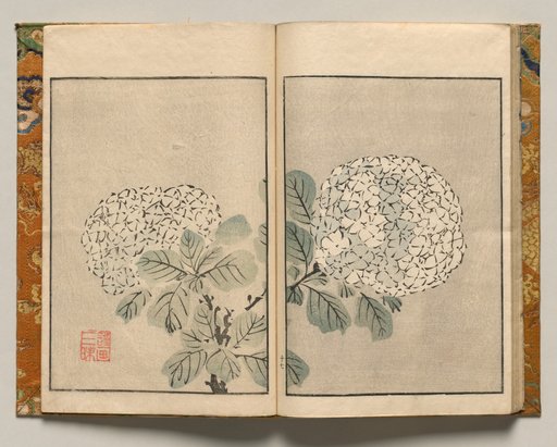 Hydrangea, Design Seventeen from Shazanrō Picture Book