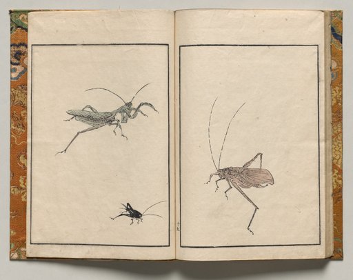 Crickets, Design Nineteen from Shazanrō Picture Book