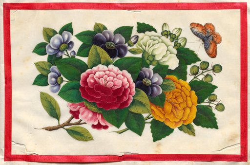 Painting Three from Illustrated Book of Flowers and Butterflies