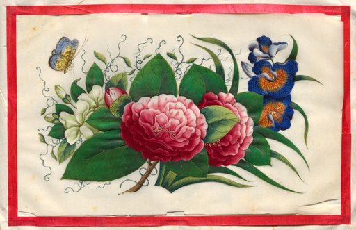 Painting Four from Illustrated Book of Flowers and Butterflies
