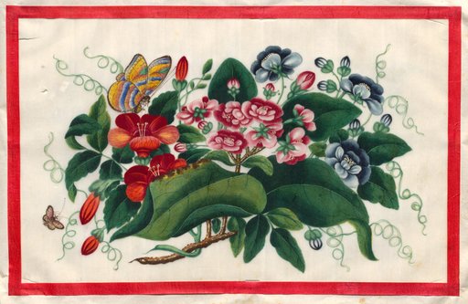 Painting Five from Illustrated Book of Flowers and Butterflies