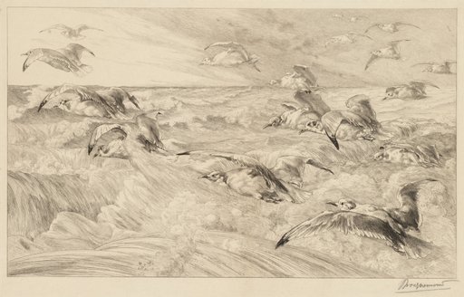 Seagulls (Les Mouettes)