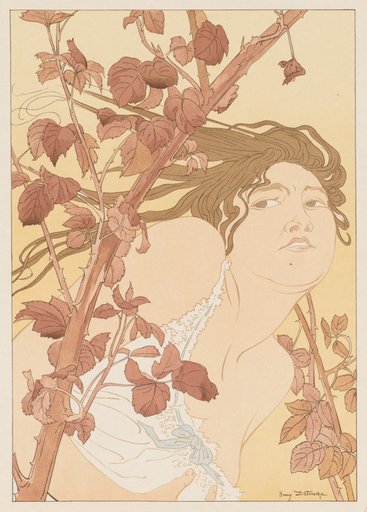 In the Brambles (Dans les Ronces)