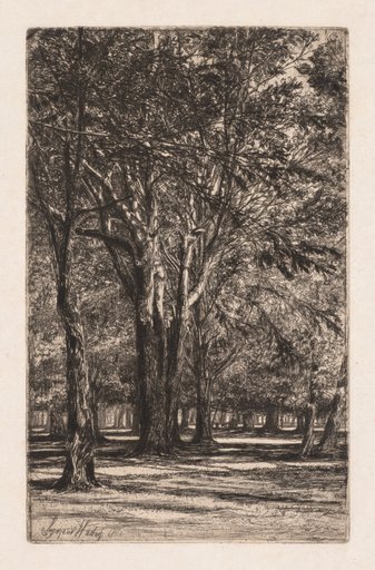 Kensington Gardens, No. 2 (The Larger Plate)