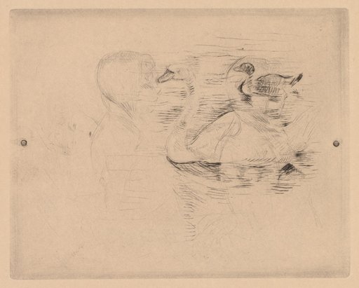 Swan and Duck, with portraits of Julie (Cygne et canard, avec portraits de Julie, or Cygne et canard, essai)