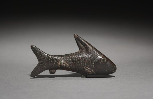 Small Lepidotus Fish