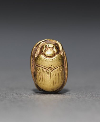 Scarab