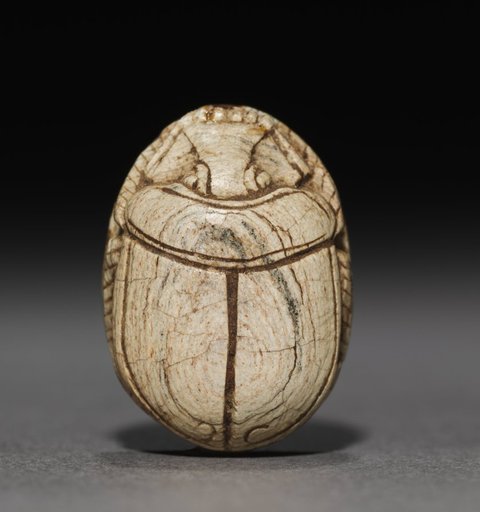 Scarab
