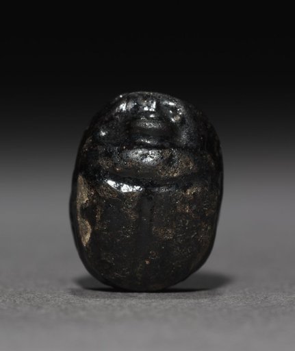 Scarab