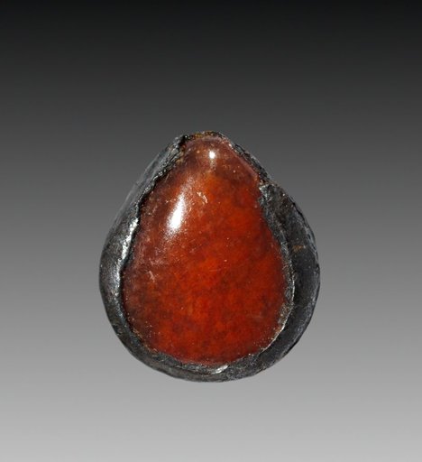 Oyster-Shell Pendant