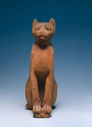 Cat Coffin
