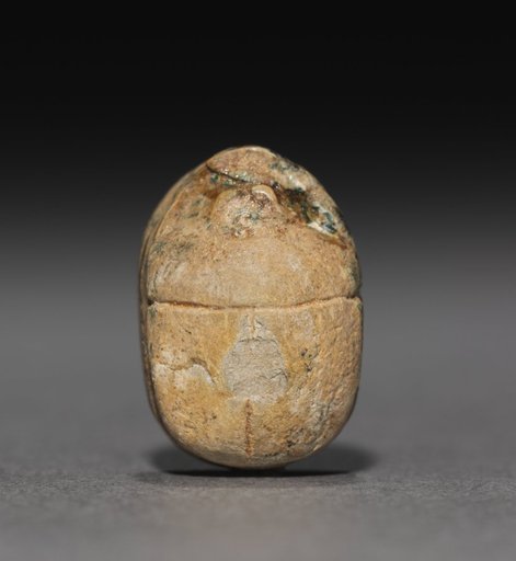 Scarab