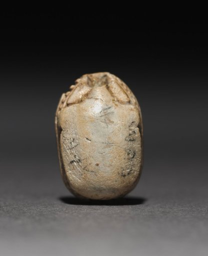 Scarab