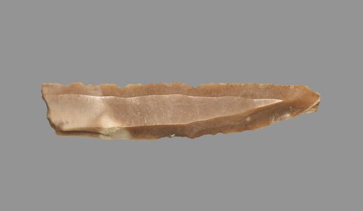 Sickle Blade