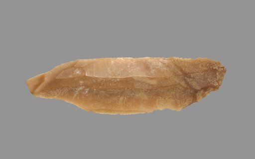 Sickle Blade