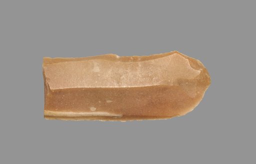 Sickle Blade