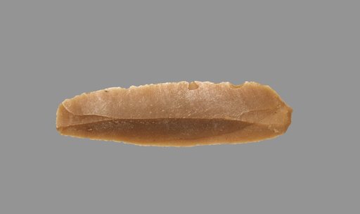 Sickle Blade