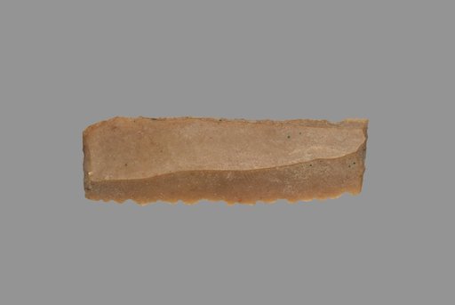Sickle Blade